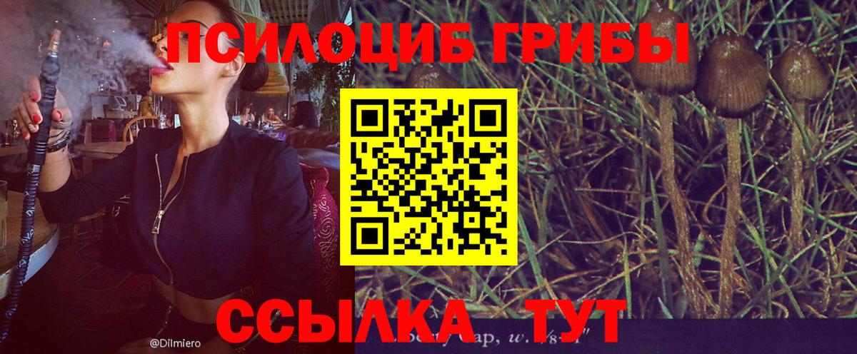 Галлюциногенные грибы GOLDEN TEACHER  Вход с VPN  Галлюциногенные грибы Psilocybe  Кунгур 